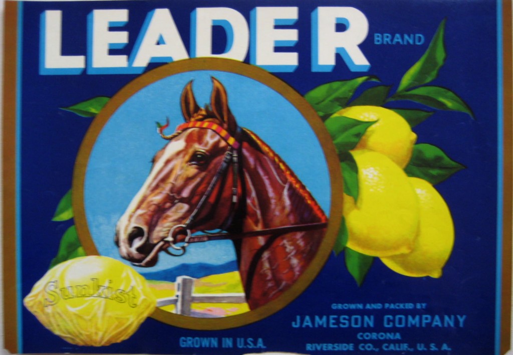 Leader lemon crate label with a horse face and lemons