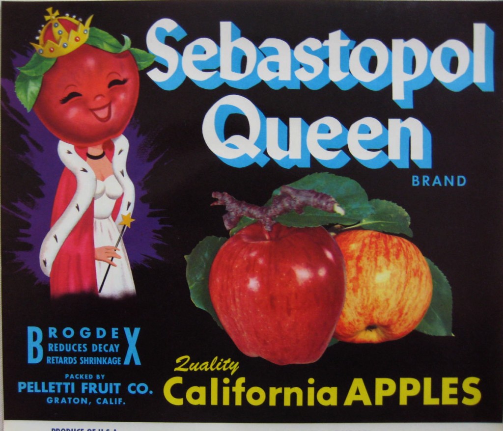 Sebastopol Queen fruit label with apples and an apple faced queen