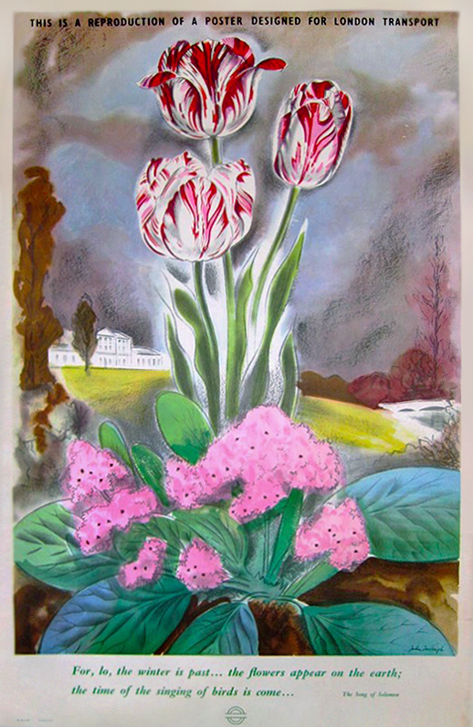 winter is past, london transport poster with tulips and other flowers