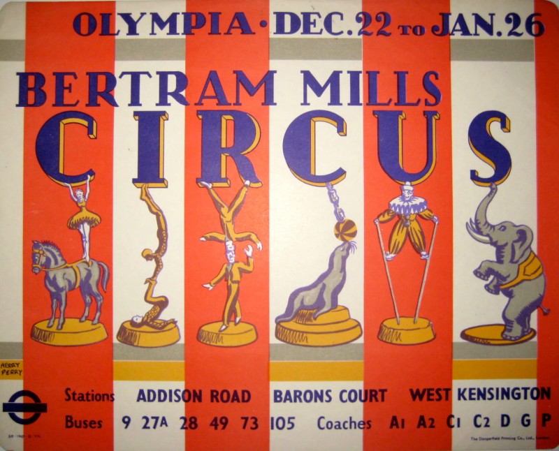 a menagerie of circus animals