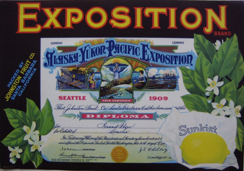 An illustrated diploma with a lemon and flowers