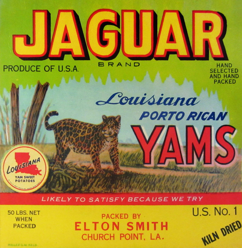 jaguar yams label with a jaguar in the jungle