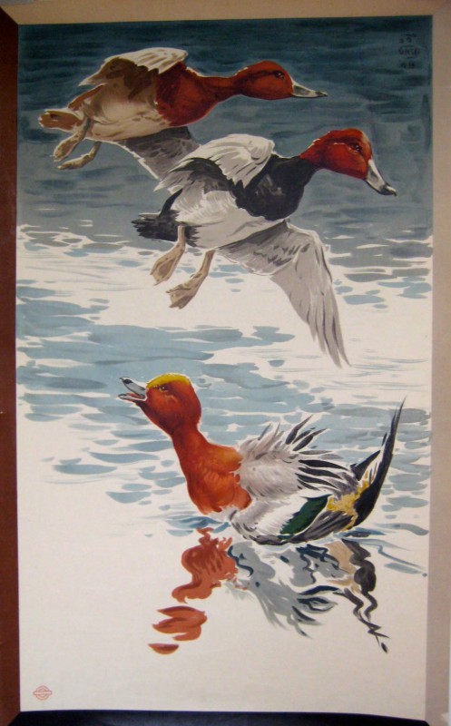 Three Ducks: Two flying and one on the water