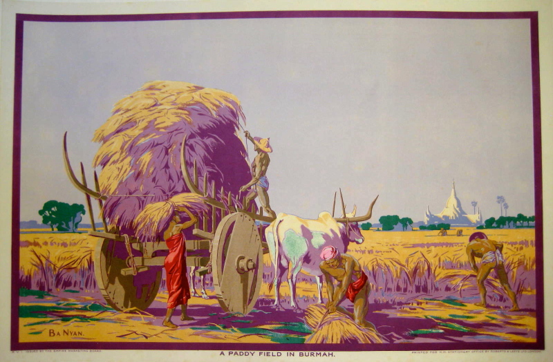 workers harvesting rice in a paddy field with an ox drawn cart