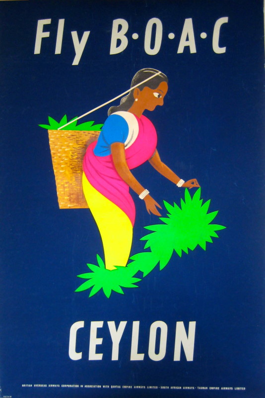 A woman harvesting jute