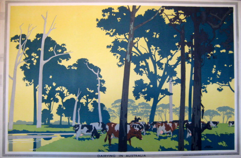 cows in a field