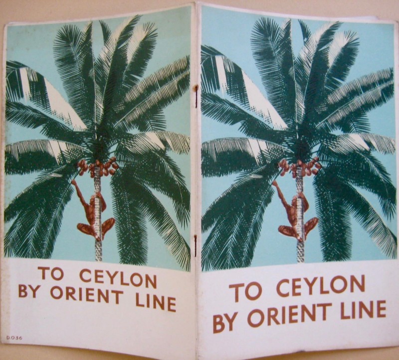 A Brochure for Orient Line with a man climbing up a palm tree picking coconuts