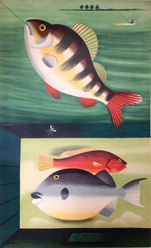 three fish