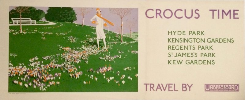 Crocus Time Travel by Underground poster with a woman in the crocus filled grass at a park