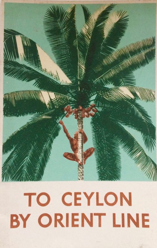 A Brochure for Orient Line with a man climbing up a palm tree picking coconuts