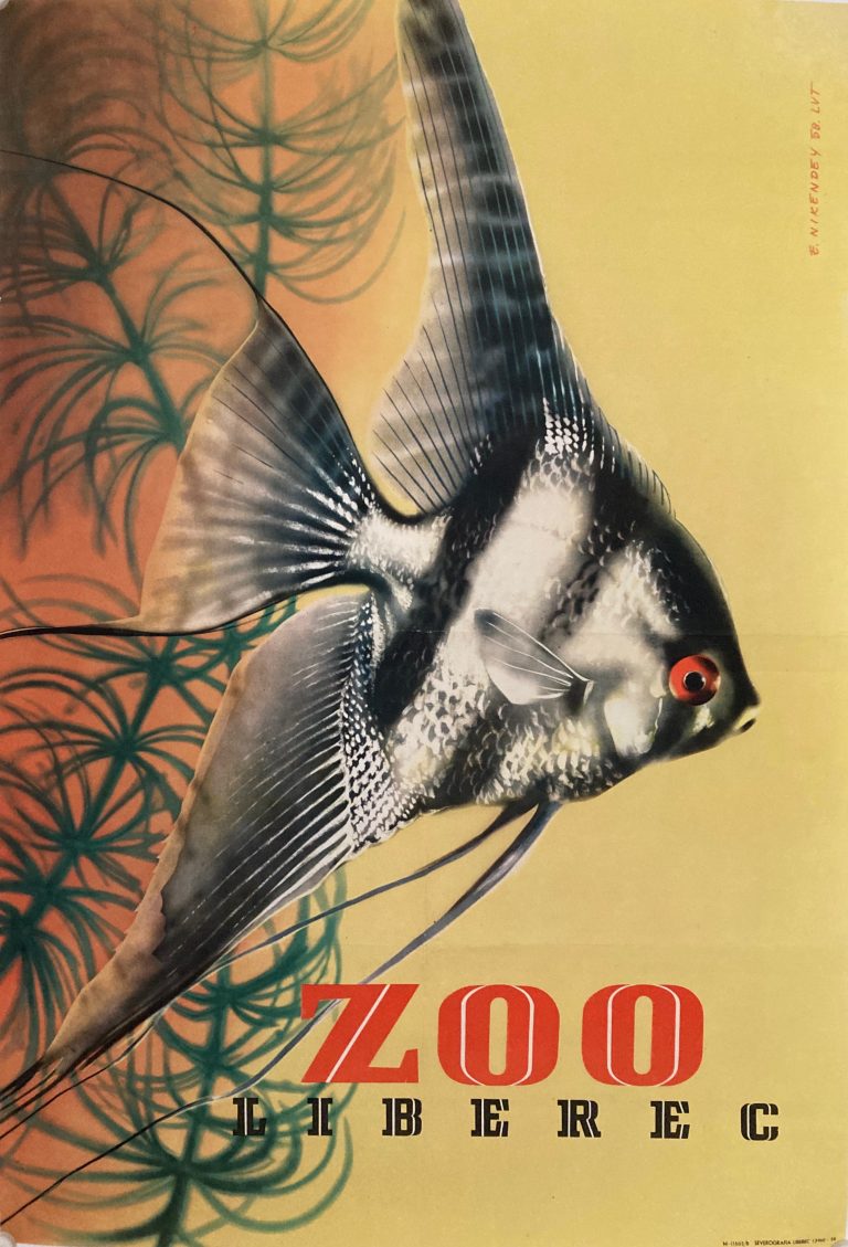 poster for Liberec Zoo with an Angelfish swimming