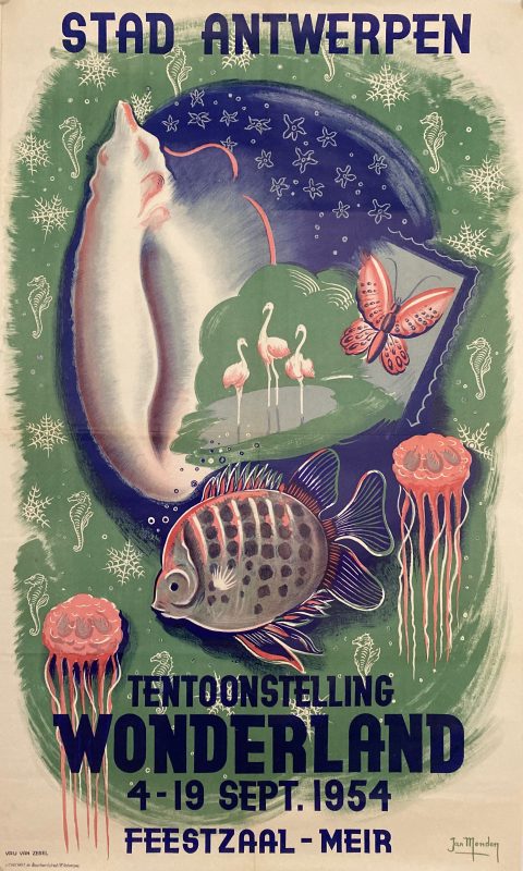 poster for Stad Antwerpen Wonderland with a magical scene of underwater fish and jellyfish, butterfiles, shells, and flamingos