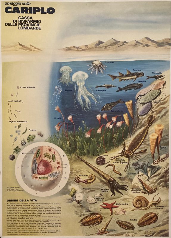 Savings bank Cariplo, Lombardy poster; Underwater seabed scene