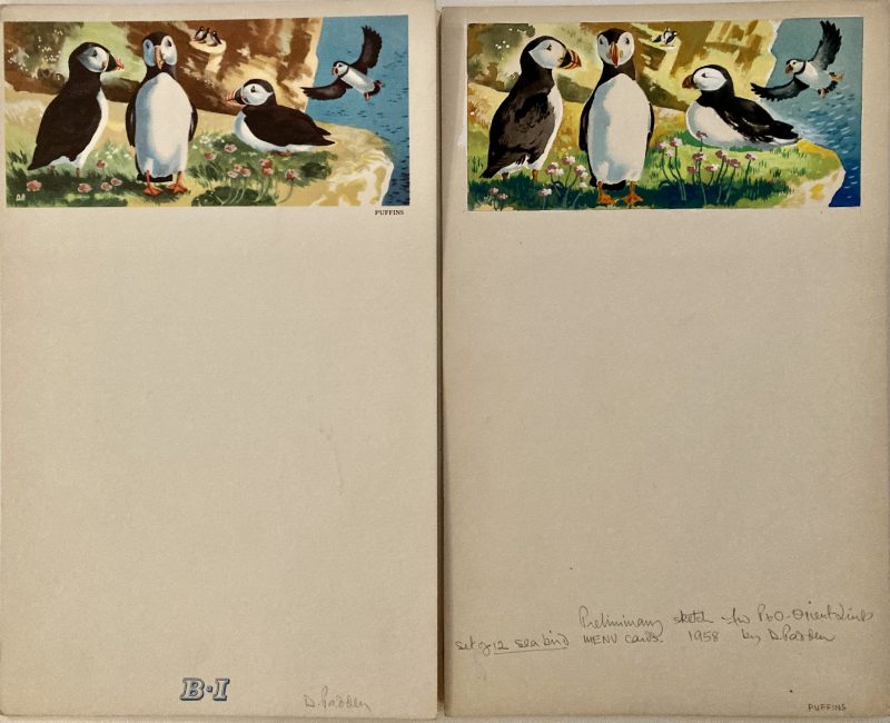 original artwork for menu puffins; Puffins on clifftop, original artwork