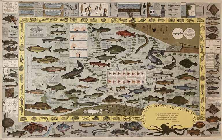 chart of sports fish; Chart showing different kinds of sports fish