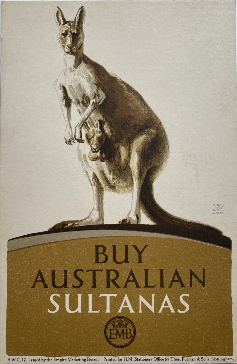 Advertising small card poster for Australian Sultanas; Kangaroo with Joey in her pouch