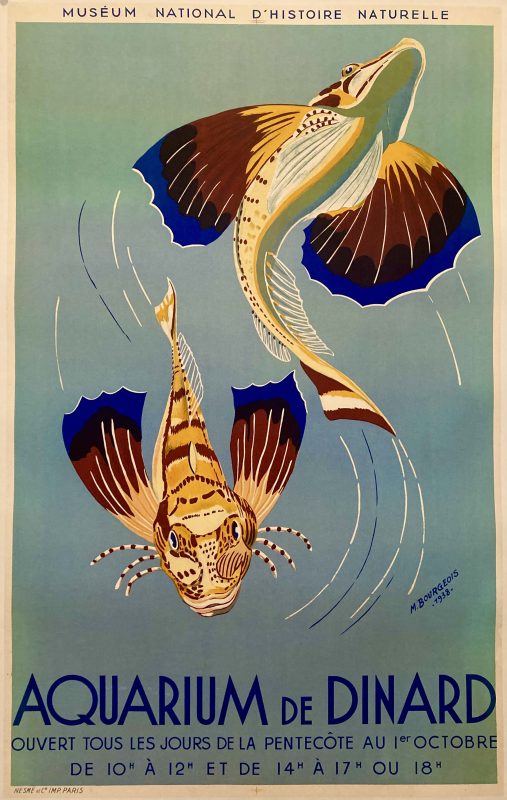 Aquarium de Dinard poster; 2 large fish swimming underwater, blue sea background