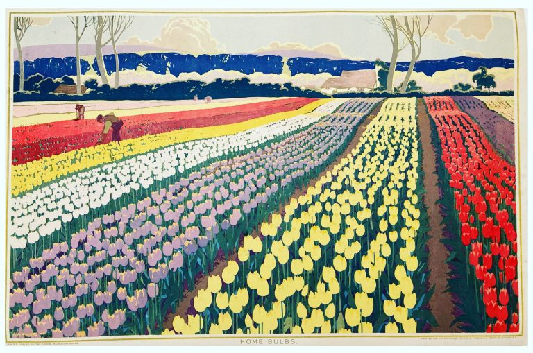 Home Bulbs poster with Farmers tending to rows of colourful tulips (pink, mauve and yellow) in the field.